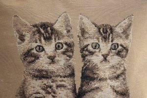  Polštář -Koťata